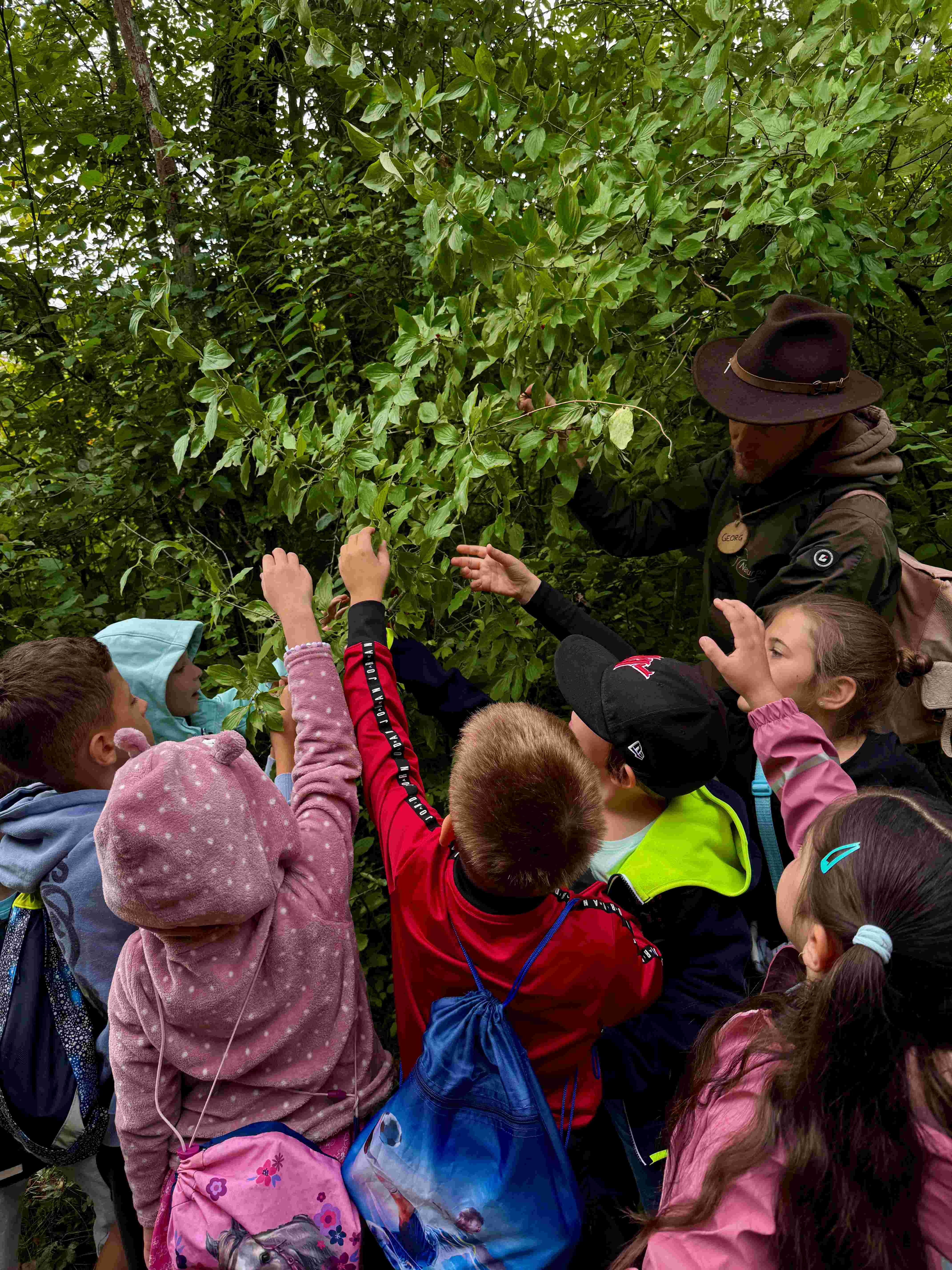 School children on adventure